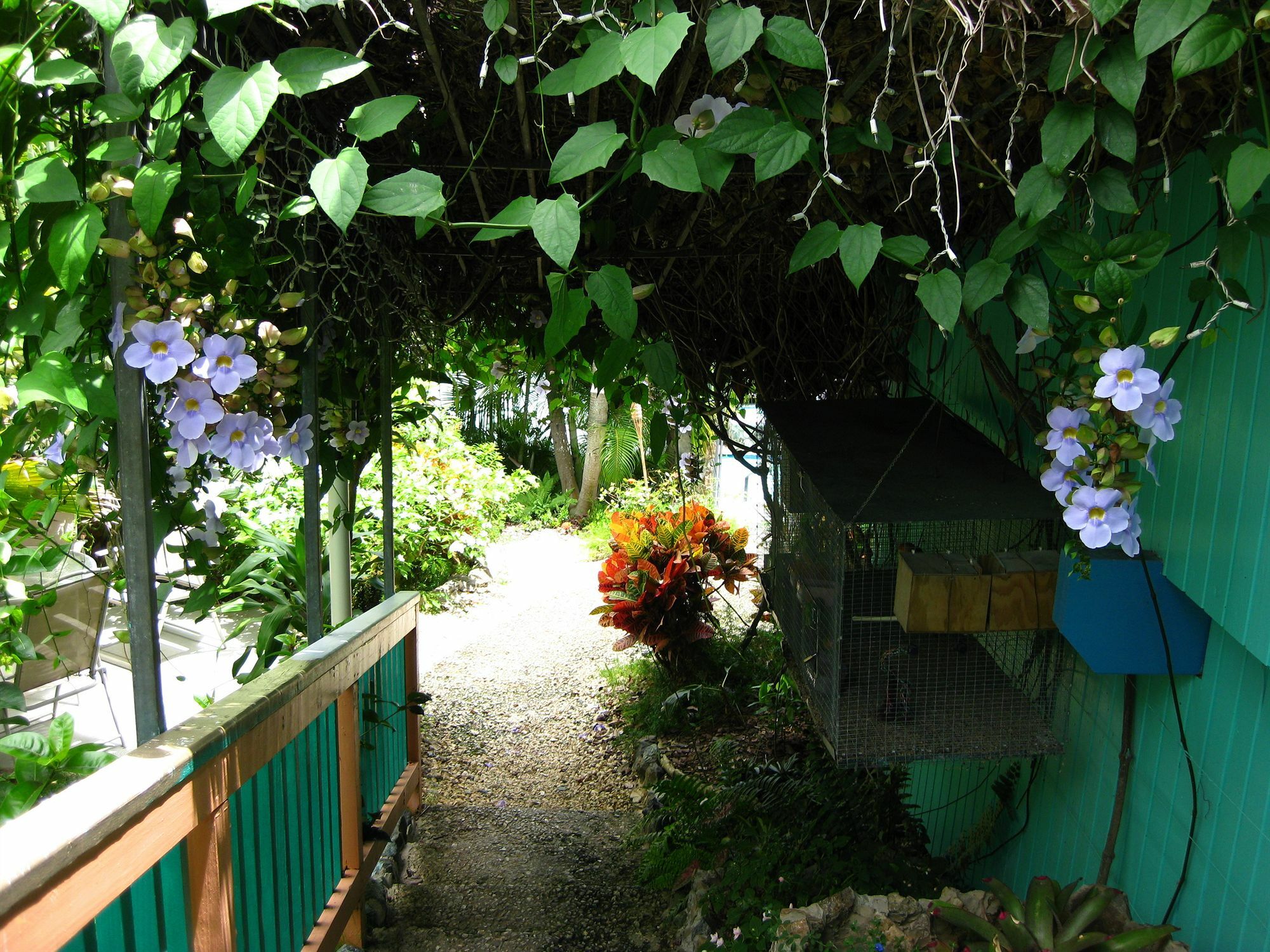 Lazy Parrot Inn & Mini Resort Rincon Exterior photo